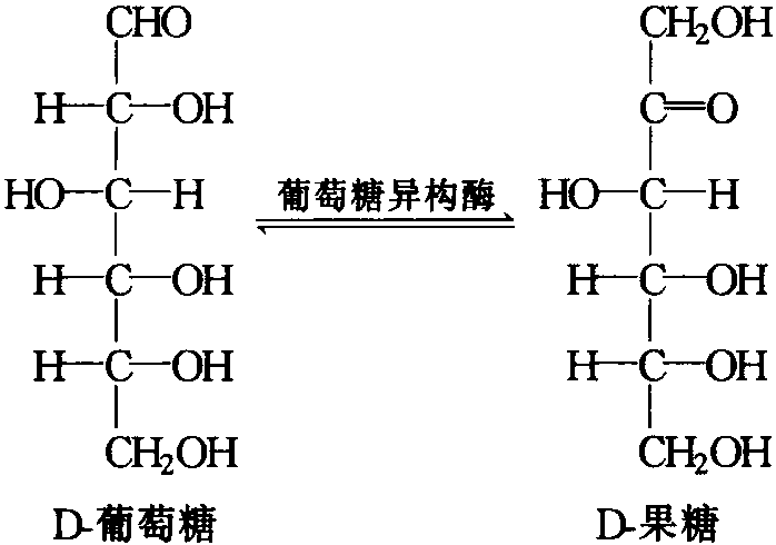 第一节 酶制剂的概念及特性